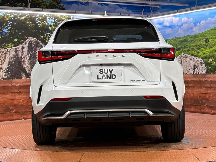 2023 Lexus NX 6AA-AAZH20 (UW-69f2a3e994573)[29]
