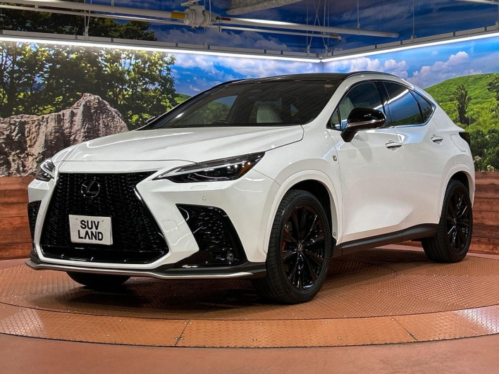 2023 Lexus NX 6AA-AAZH20 (UW-69f2a3e994573)[26]