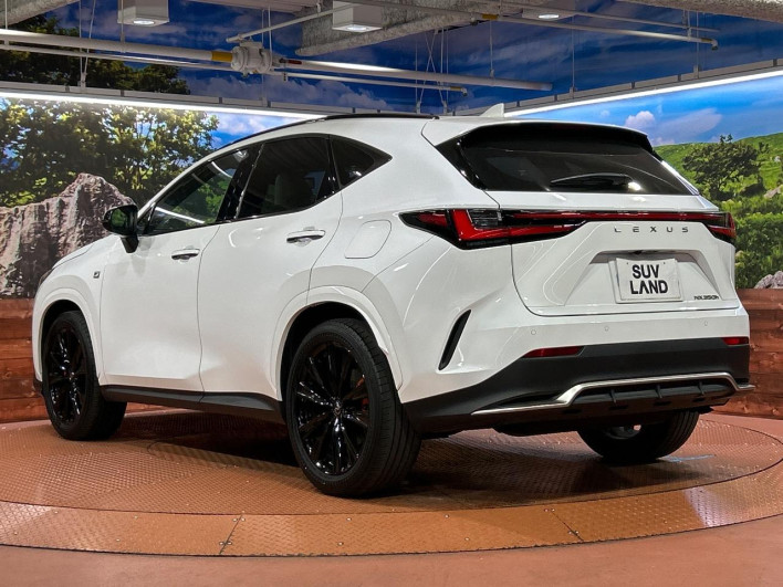 2023 Lexus NX 6AA-AAZH20 (UW-69f2a3e994573)[28]