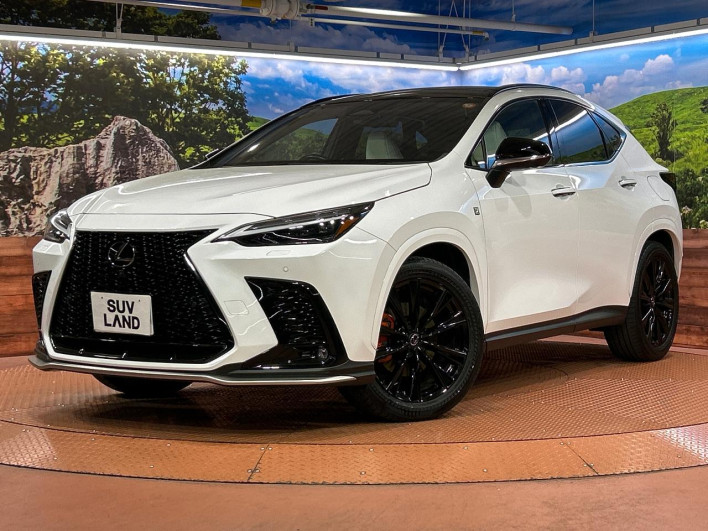 2023 Lexus NX 6AA-AAZH20 (UW-69f2a3e994573)[0]