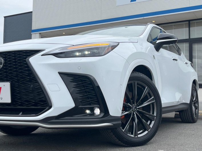 2024 Lexus NX 6AA-AAZH20 (UW-69f2a3eae4e13)[17]
