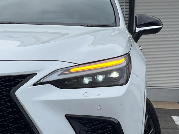 2024 Lexus NX 6AA-AAZH20 (UW-69f2a3eae4e13)[20]