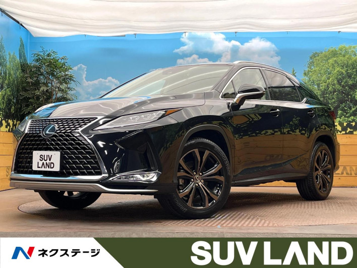 2021 Lexus RX 3BA-AGL20W (UW-69f2a3f3f03b2)[3]
