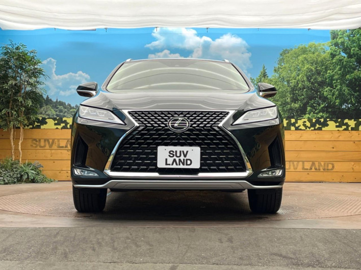 2021 Lexus RX 3BA-AGL20W (UW-69f2a3f3f03b2)[11]
