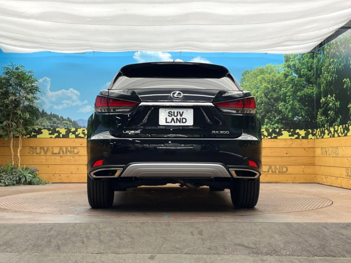 2021 Lexus RX 3BA-AGL20W (UW-69f2a3f3f03b2)[7]