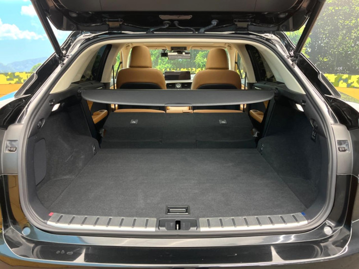 2021 Lexus RX 3BA-AGL20W (UW-69f2a3f3f03b2)[28]