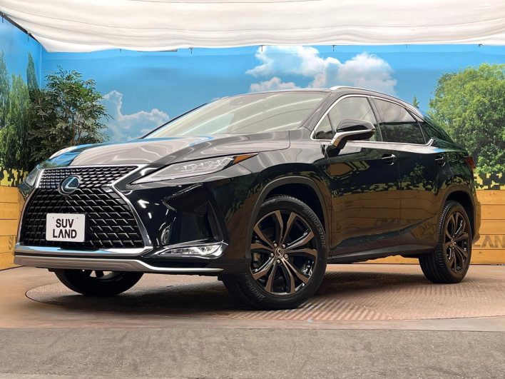 2021 Lexus RX 3BA-AGL20W (UW-69f2a3f3f03b2)[0]