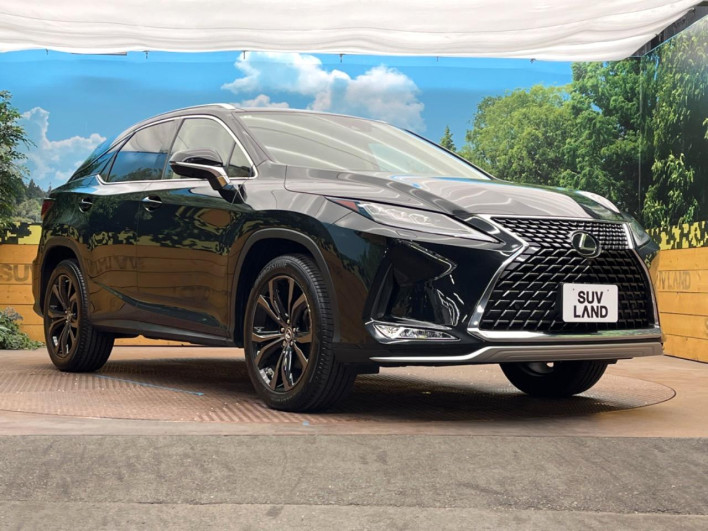 2021 Lexus RX 3BA-AGL20W (UW-69f2a3f3f03b2)[10]