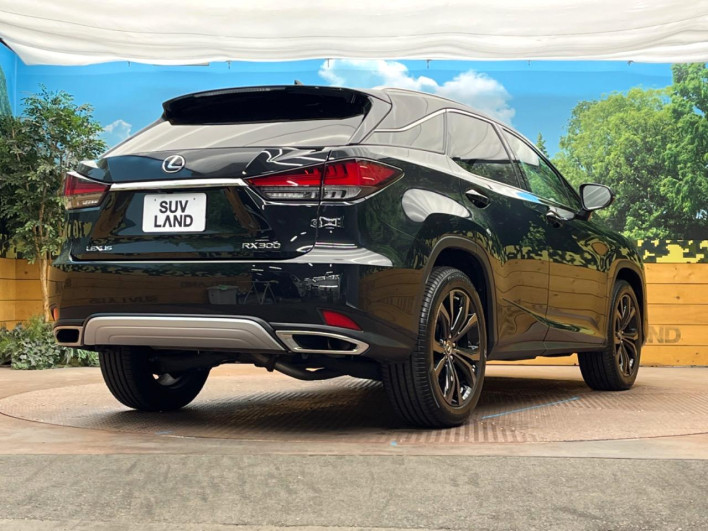 2021 Lexus RX 3BA-AGL20W (UW-69f2a3f3f03b2)[8]