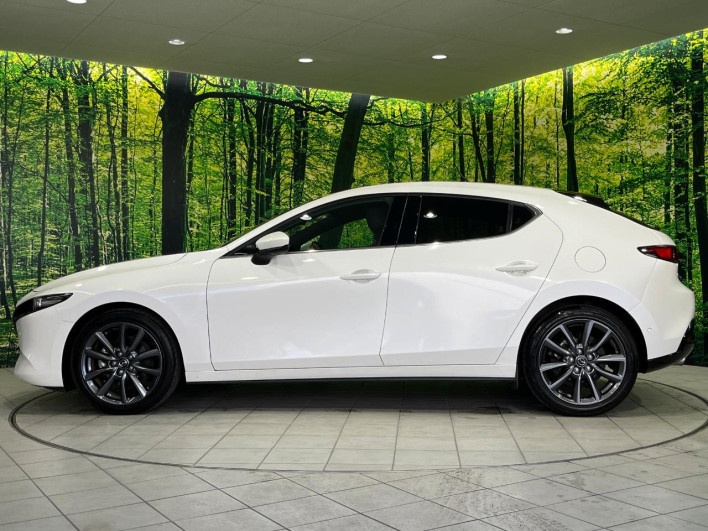 2019 Mazda Mazda 3 Fastback 3DA-BP8P (UW-69f2a42680d67)[22]