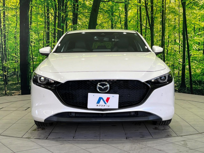 2019 Mazda Mazda 3 Fastback 3DA-BP8P (UW-69f2a42680d67)[21]