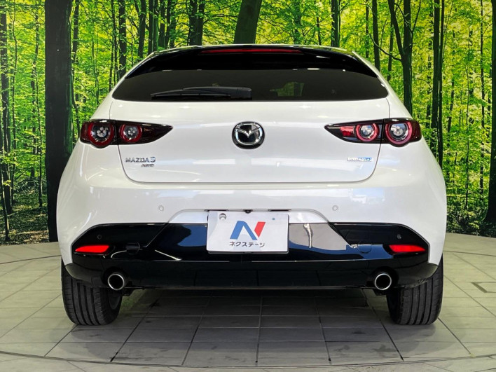 2019 Mazda Mazda 3 Fastback 3DA-BP8P (UW-69f2a42680d67)[24]