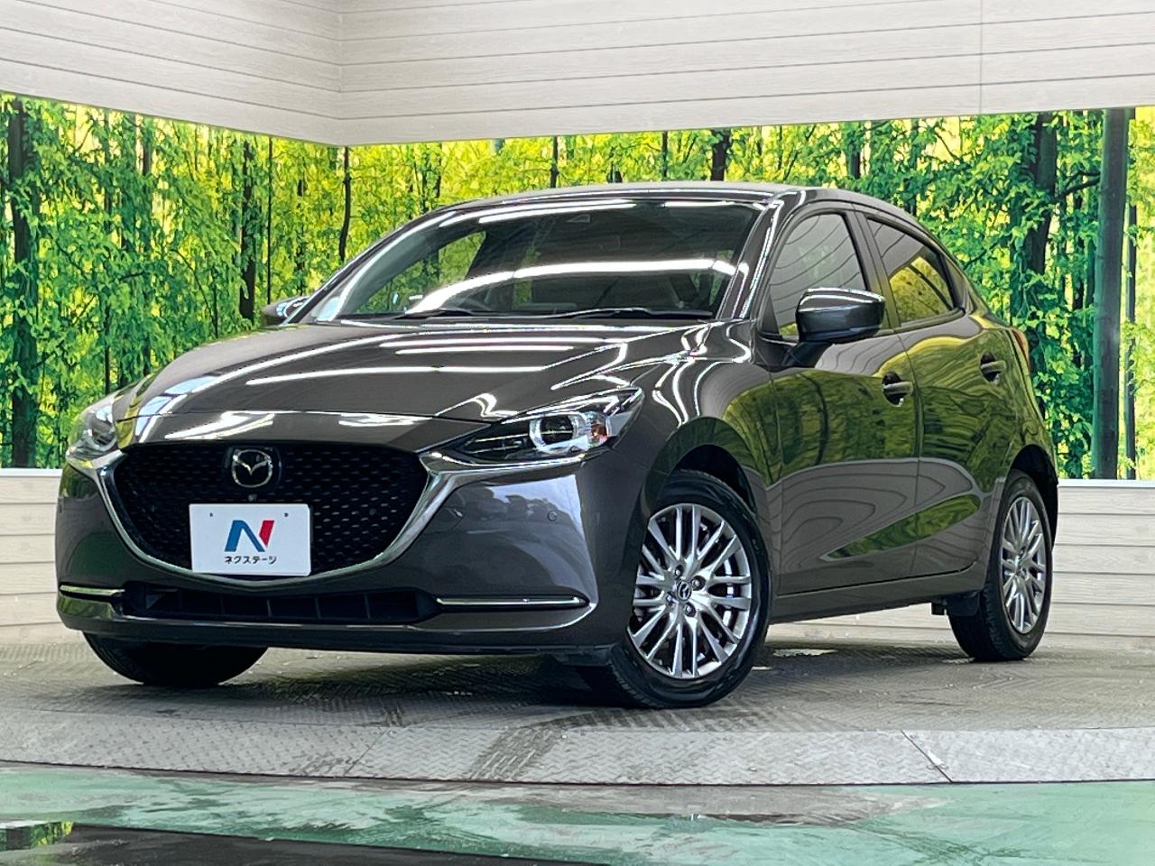 2019 Mazda Mazda2 3da-dj5fs