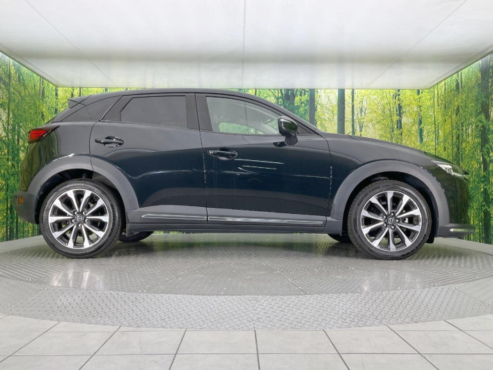 2019 Mazda CX-3 3DA-DK8FW (UW-69f2a43664f02)[20]