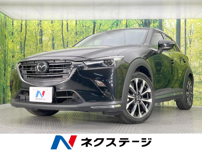 2019 Mazda CX-3 3DA-DK8FW (UW-69f2a43664f02)[3]