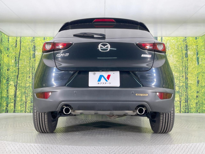 2019 Mazda CX-3 3DA-DK8FW (UW-69f2a43664f02)[18]