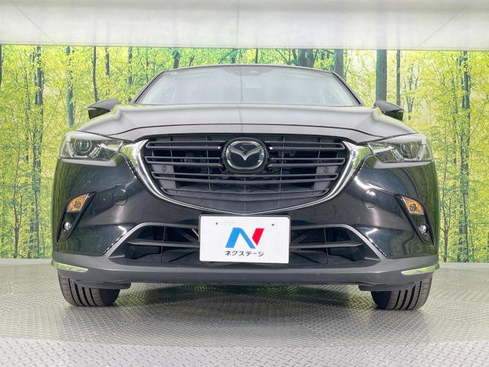 2019 Mazda CX-3 3DA-DK8FW (UW-69f2a43664f02)[13]
