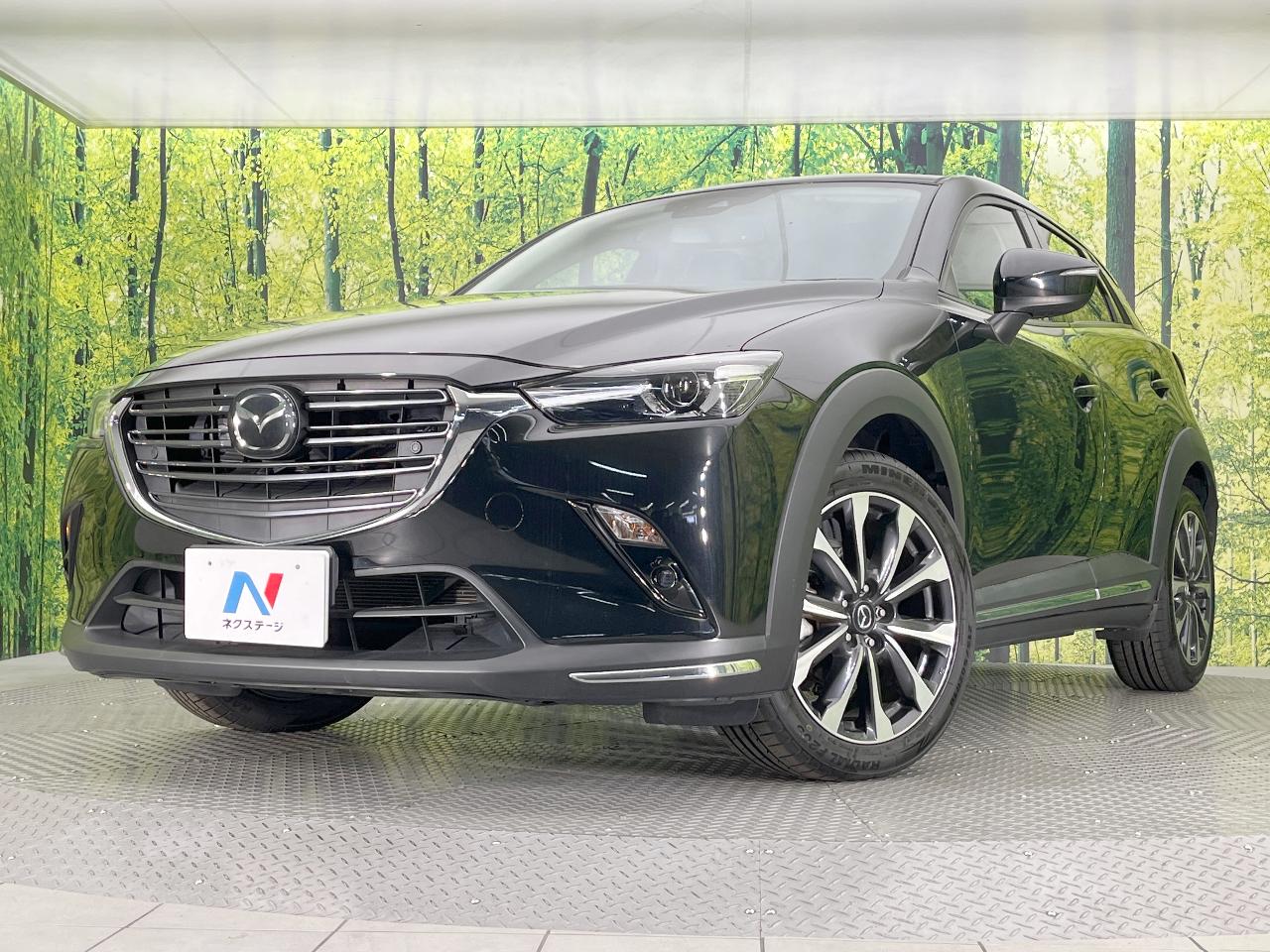 2019 Mazda CX-3 3DA-DK8FW