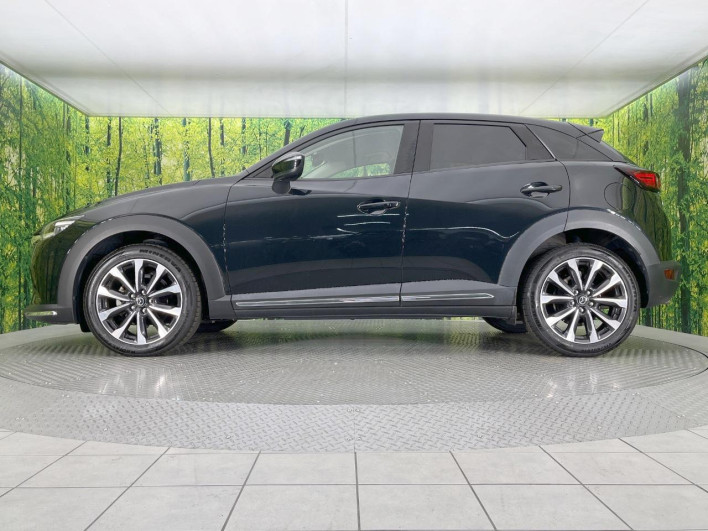 2019 Mazda CX-3 3DA-DK8FW (UW-69f2a43664f02)[16]