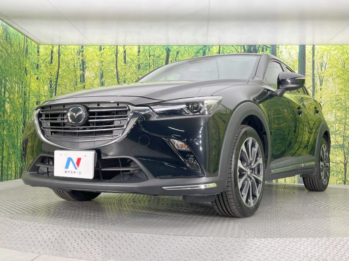 2019 Mazda CX-3 3DA-DK8FW (UW-69f2a43664f02)[15]