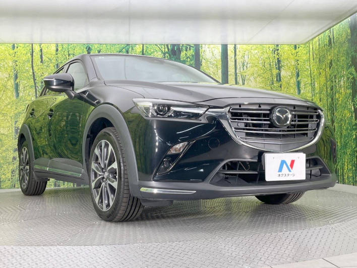 2019 Mazda CX-3 3DA-DK8FW (UW-69f2a43664f02)[14]