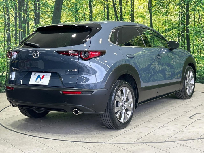 2020 Mazda CX-30 5BA-DMEP (UW-69f2a436a68c3)[20]