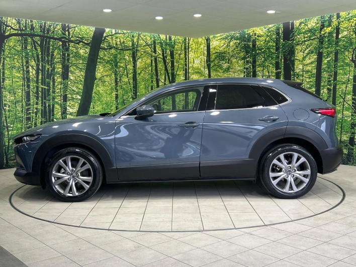2020 Mazda CX-30 5BA-DMEP (UW-69f2a436a68c3)[23]