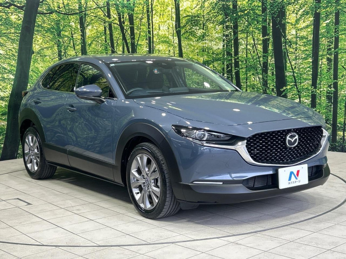 2020 Mazda CX-30 5BA-DMEP (UW-69f2a436a68c3)[18]