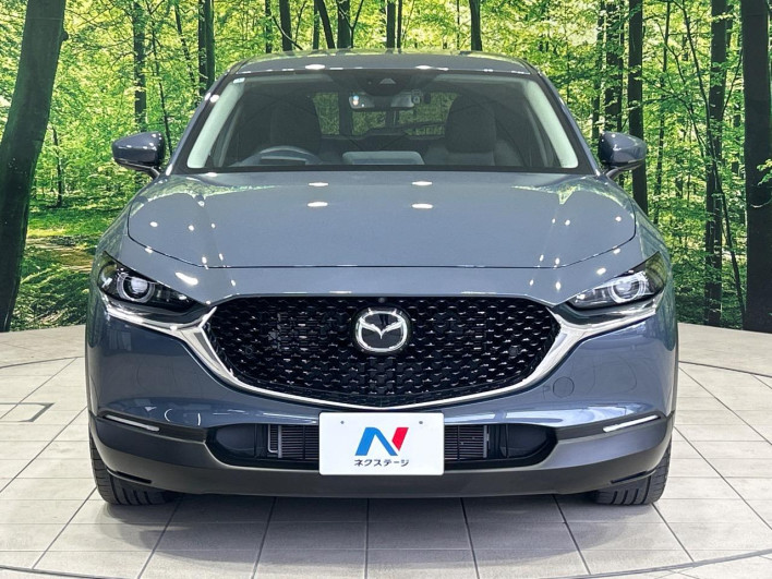 2020 Mazda CX-30 5BA-DMEP (UW-69f2a436a68c3)[17]