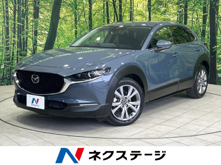 2020 Mazda CX-30 5BA-DMEP (UW-69f2a436a68c3)[3]
