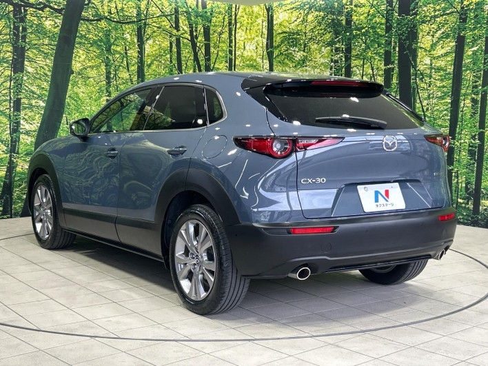 2020 Mazda CX-30 5BA-DMEP (UW-69f2a436a68c3)[22]