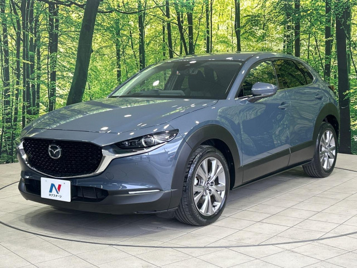 2020 Mazda CX-30 5BA-DMEP (UW-69f2a436a68c3)[16]