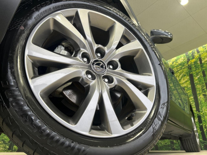 2020 Mazda CX-30 5BA-DMEP (UW-69f2a436a68c3)[9]