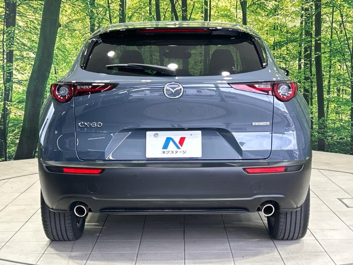 2020 Mazda CX-30 5BA-DMEP (UW-69f2a436a68c3)[21]