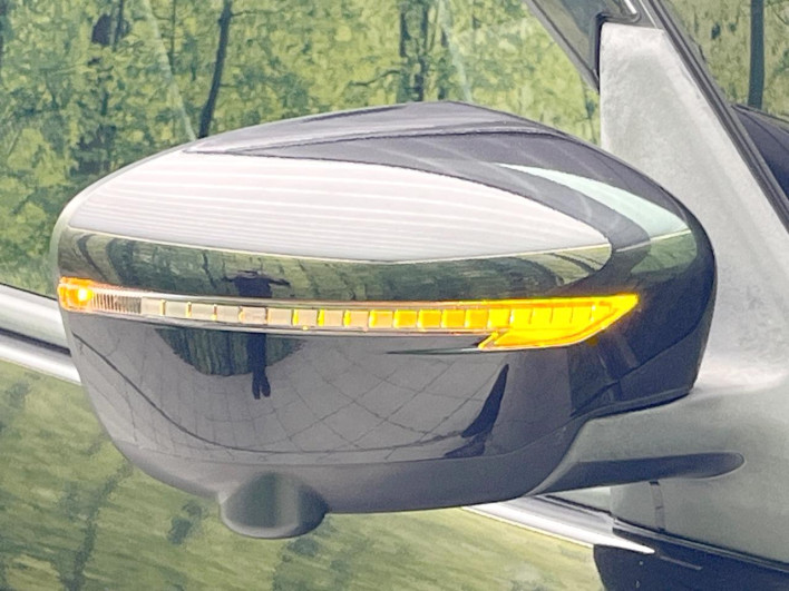 2019 Nissan Serena DAA-GFC27 (UW-69f2a44a87e1e)[14]