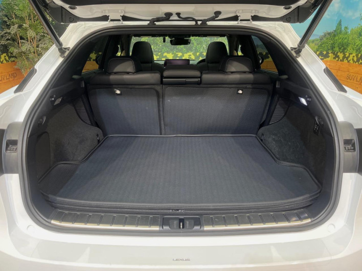 2016 Lexus RX DAA-GYL25W (UW-69f2a462f0500)[9]