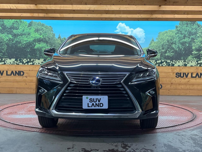 2017 Lexus RX DAA-GYL25W (UW-69f2a46323782)[14]