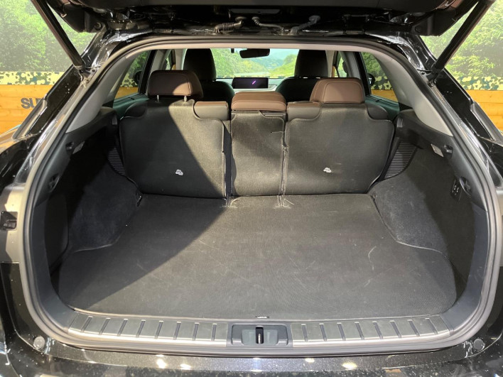 2017 Lexus RX DAA-GYL25W (UW-69f2a46323782)[27]