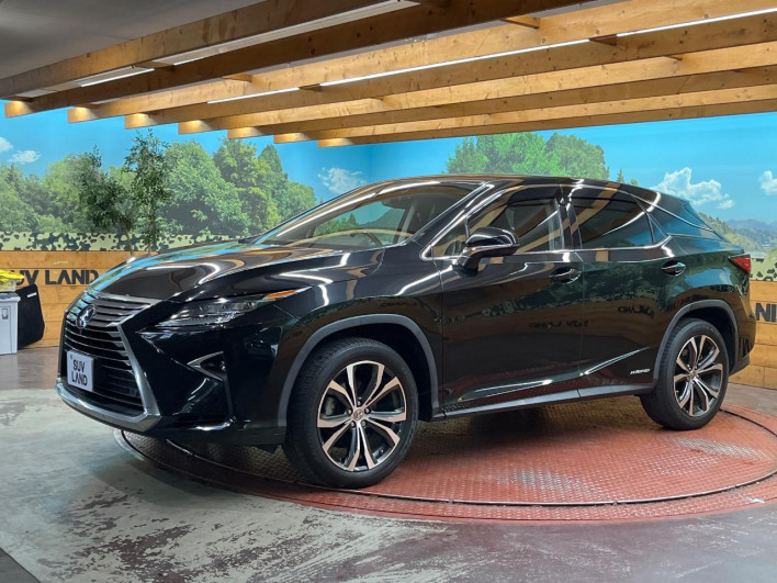 2017 Lexus RX DAA-GYL25W (UW-69f2a46323782)[15]
