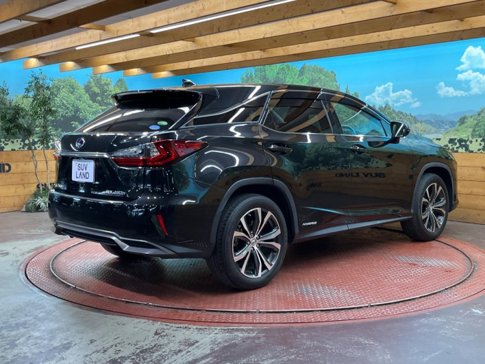 2017 Lexus RX DAA-GYL25W (UW-69f2a46323782)[22]