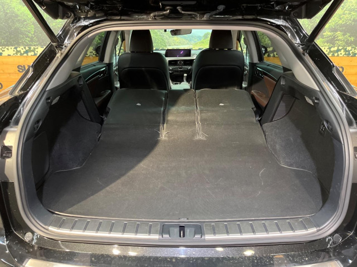 2017 Lexus RX DAA-GYL25W (UW-69f2a46323782)[28]