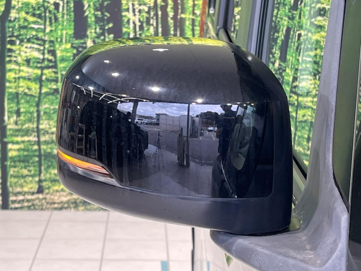 2019 Honda N-BOX DBA-JF3 (UW-69f2a487c62b9)[10]