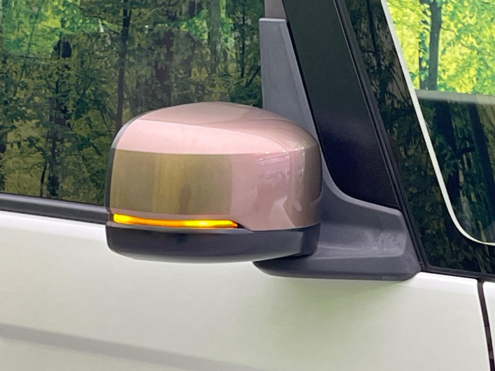 2019 Honda N-BOX DBA-JF3 (UW-69f2a488d2e00)[10]