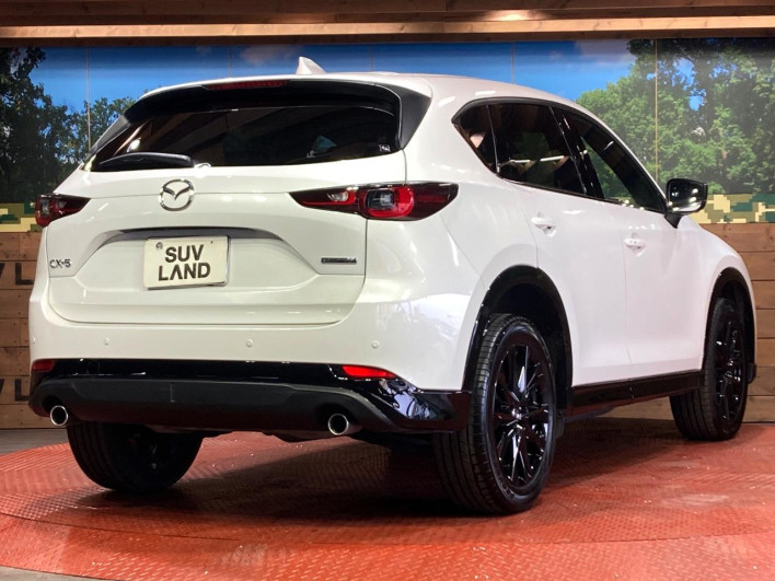 2025 Mazda CX-5 3DA-KF2P (UW-69f2a4a1520df)[20]
