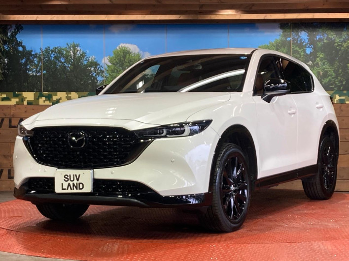 2025 Mazda CX-5 3DA-KF2P (UW-69f2a4a1520df)[16]