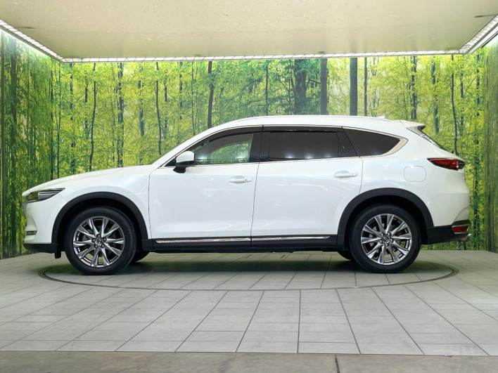 2019 Mazda CX-8 3da-kg2p (UW-69f2a4a4b68eb)[11]