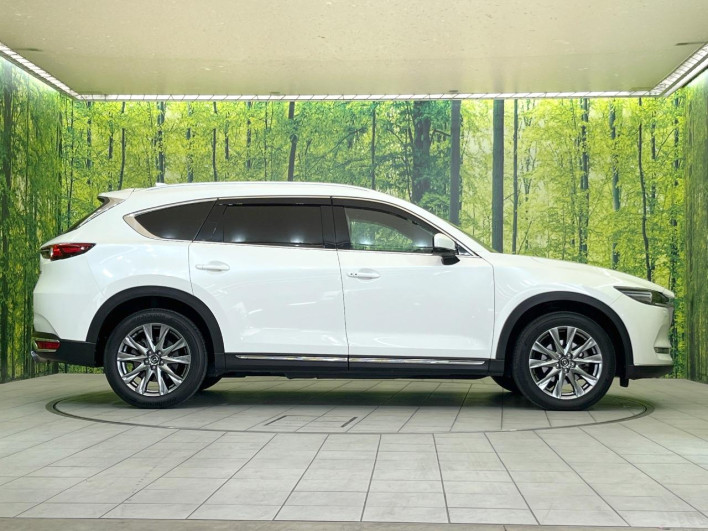 2019 Mazda CX-8 3da-kg2p (UW-69f2a4a4b68eb)[7]