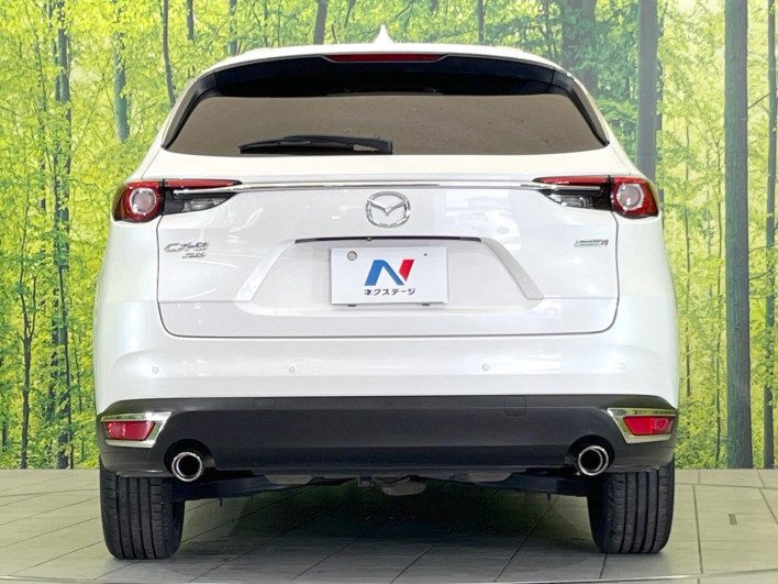 2019 Mazda CX-8 3da-kg2p (UW-69f2a4a4b68eb)[9]