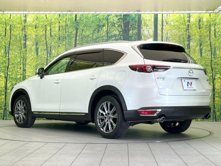 2019 Mazda CX-8 3da-kg2p (UW-69f2a4a4b68eb)[10]