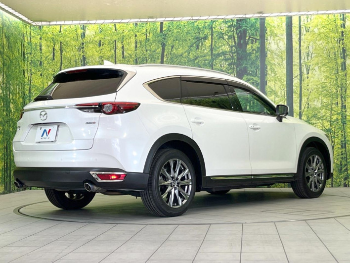 2019 Mazda CX-8 3da-kg2p (UW-69f2a4a4b68eb)[8]